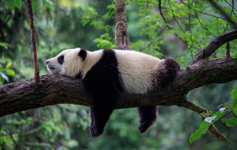 Buy and hold forever ETFs: the sleep-easy investment strategy
